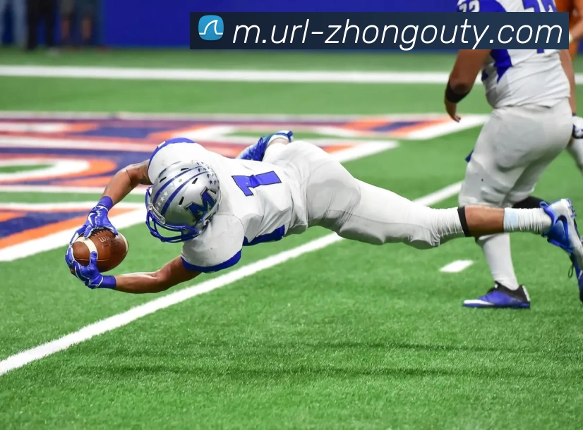 中欧体育平台生态图